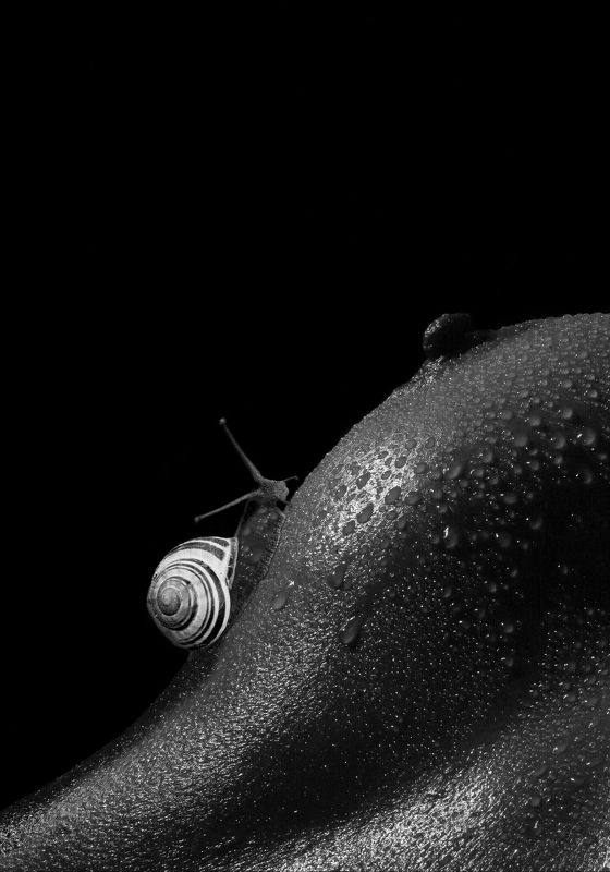 B&B(Beast and Beauty) фото превью