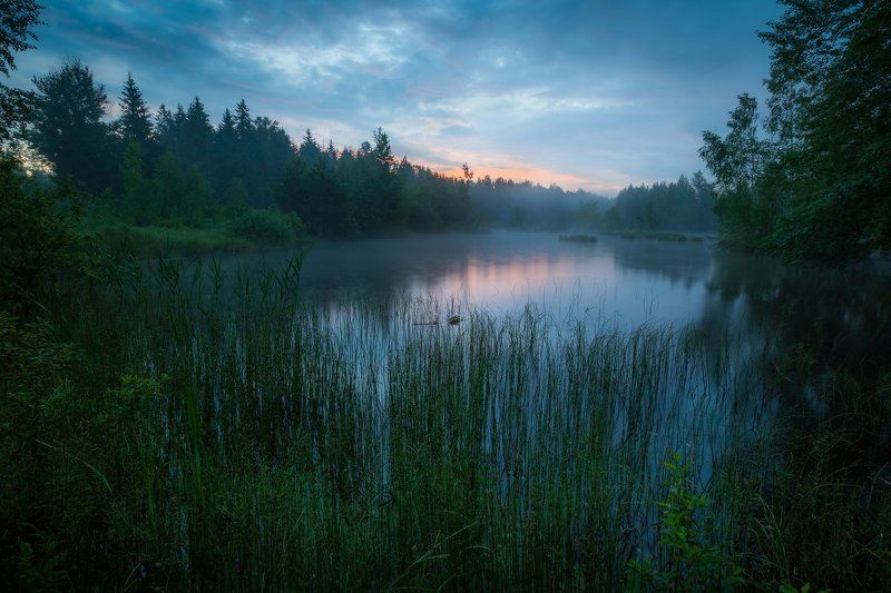 утро, лето, озеро, рассвет, лес Утреннее пробуждение фото превью