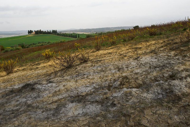 такая разная Тоскана фото превью