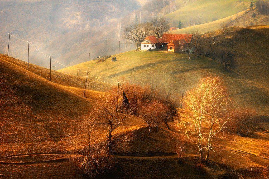 ***. Автор: Stefan Chirobocea , Stefan Chirobocea