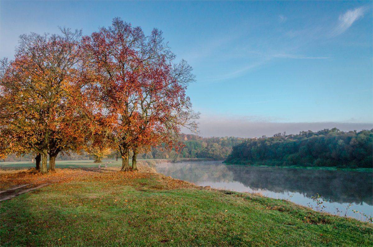 , Александр Березуцкий
