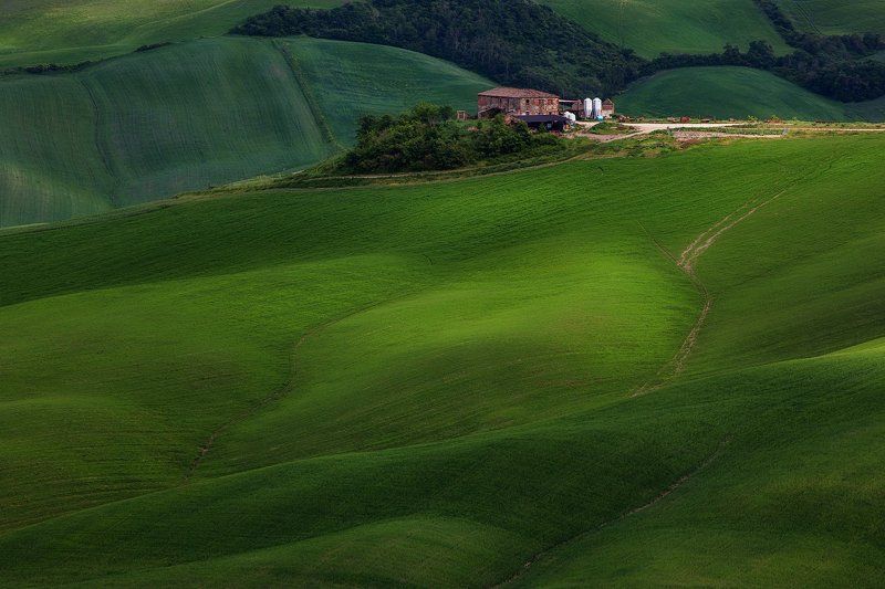 тоскана, италия, tuscany, italy Тишина Тосканы. фото превью