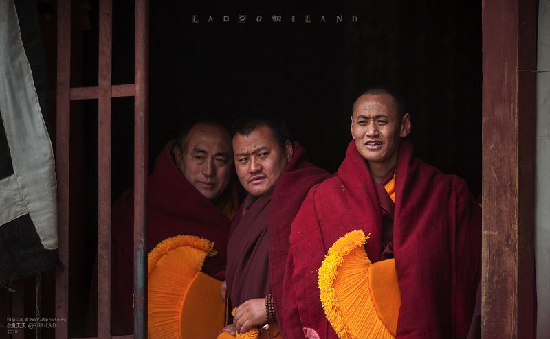 метод  будет  на  монахов  法会上的僧侣 фото превью