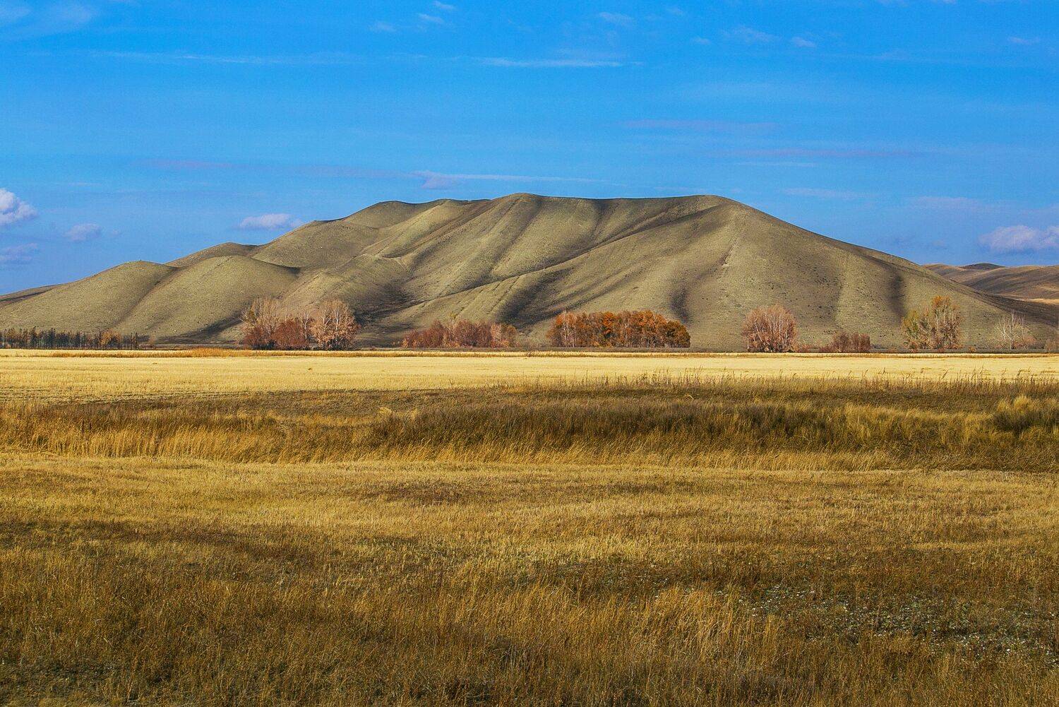 , Павел Сагайдак