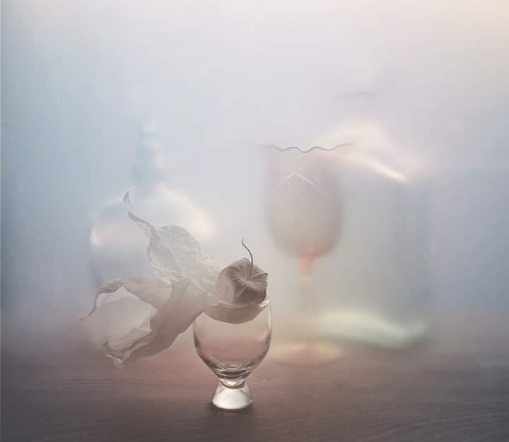 Физалис, салфетка, рюмка, бокал, бутылка, светлый, посуда, арт, натюрморт, Елена Лысенко