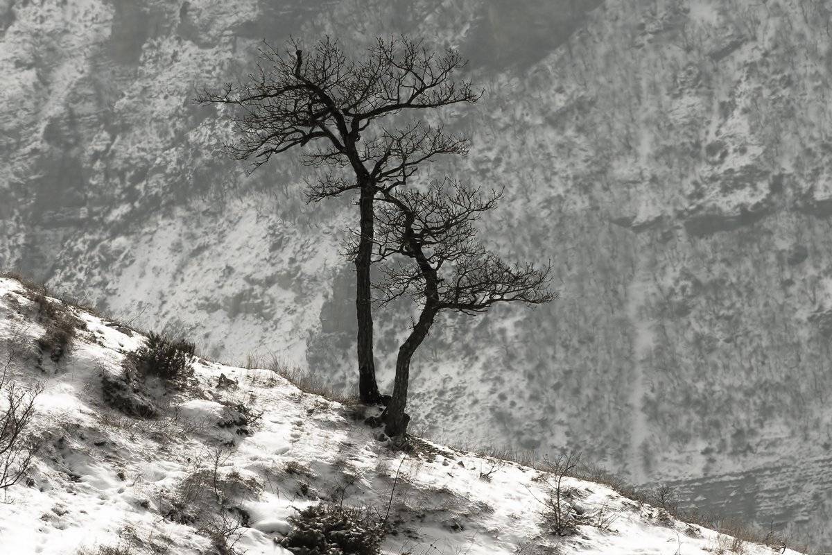 в горах, Александр Маркелов