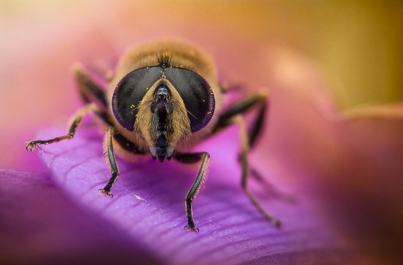 Маленький мир фото превью