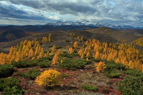 Колымская осень
