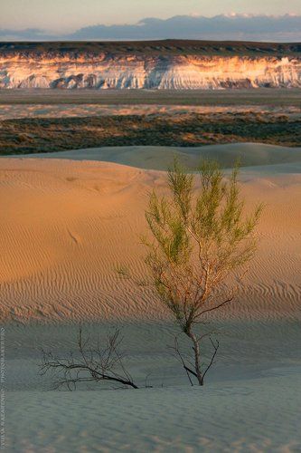 Вариации / Variations