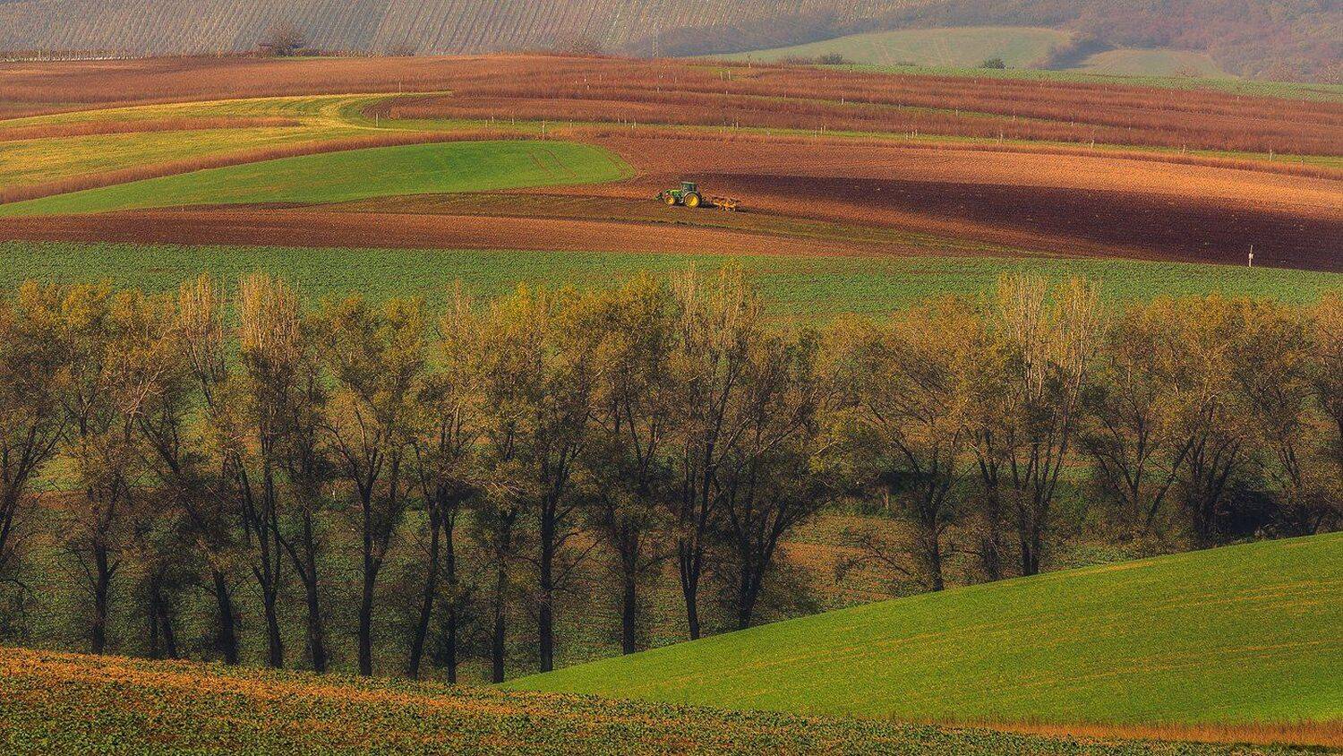 landscape,canon,moravia,light,spring, Iza,Darek