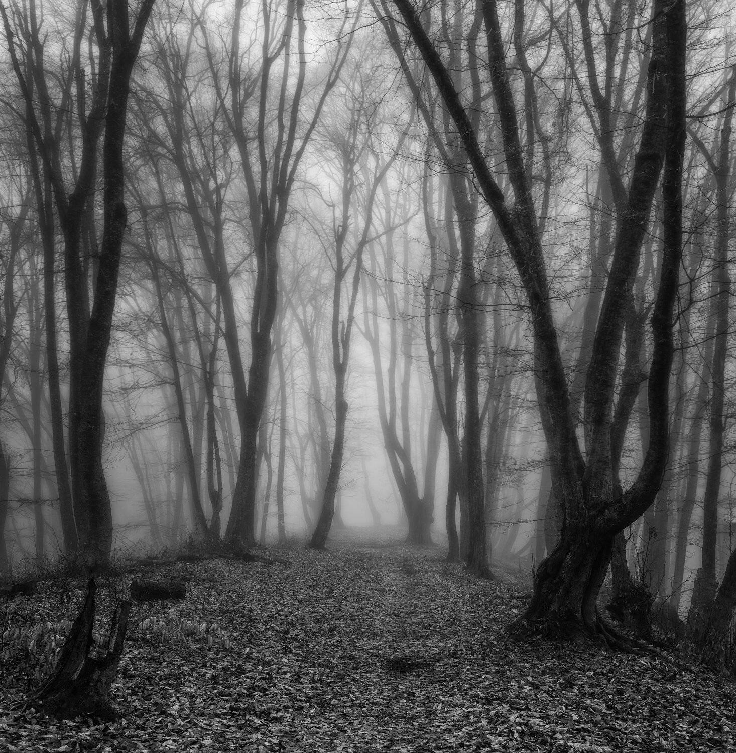 , Шевченко Юрий