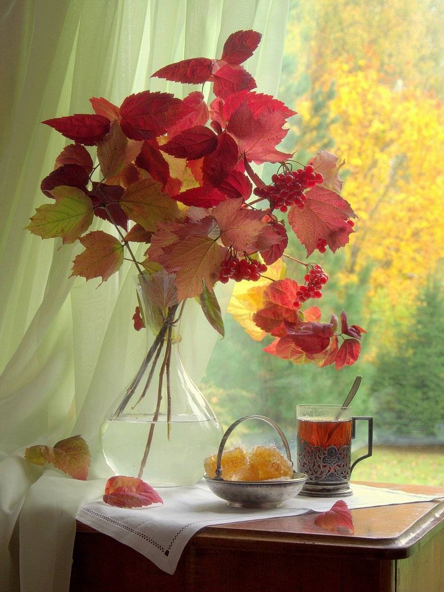 сергей алексеев, натюрморт, Сергей Алексеев