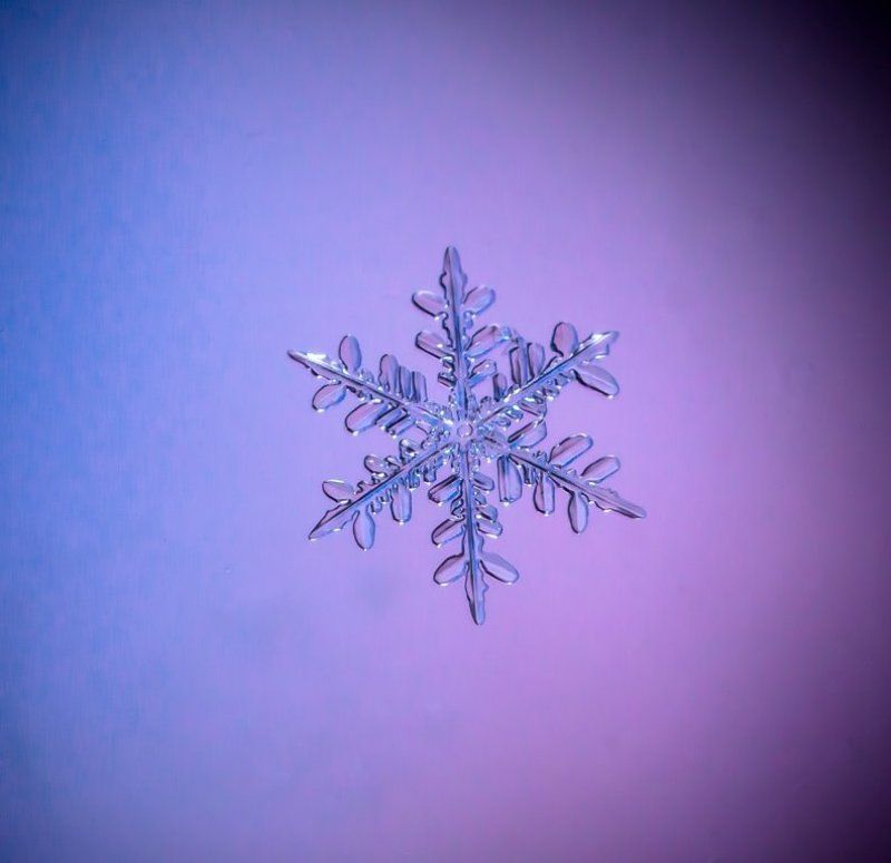 Зимние звезды... фото превью