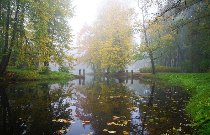 Quiet morning фото превью