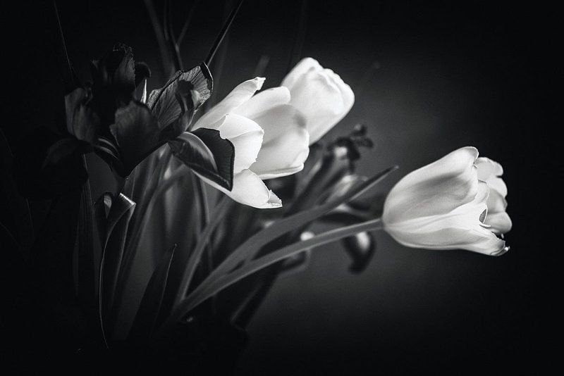 Black and White фото превью