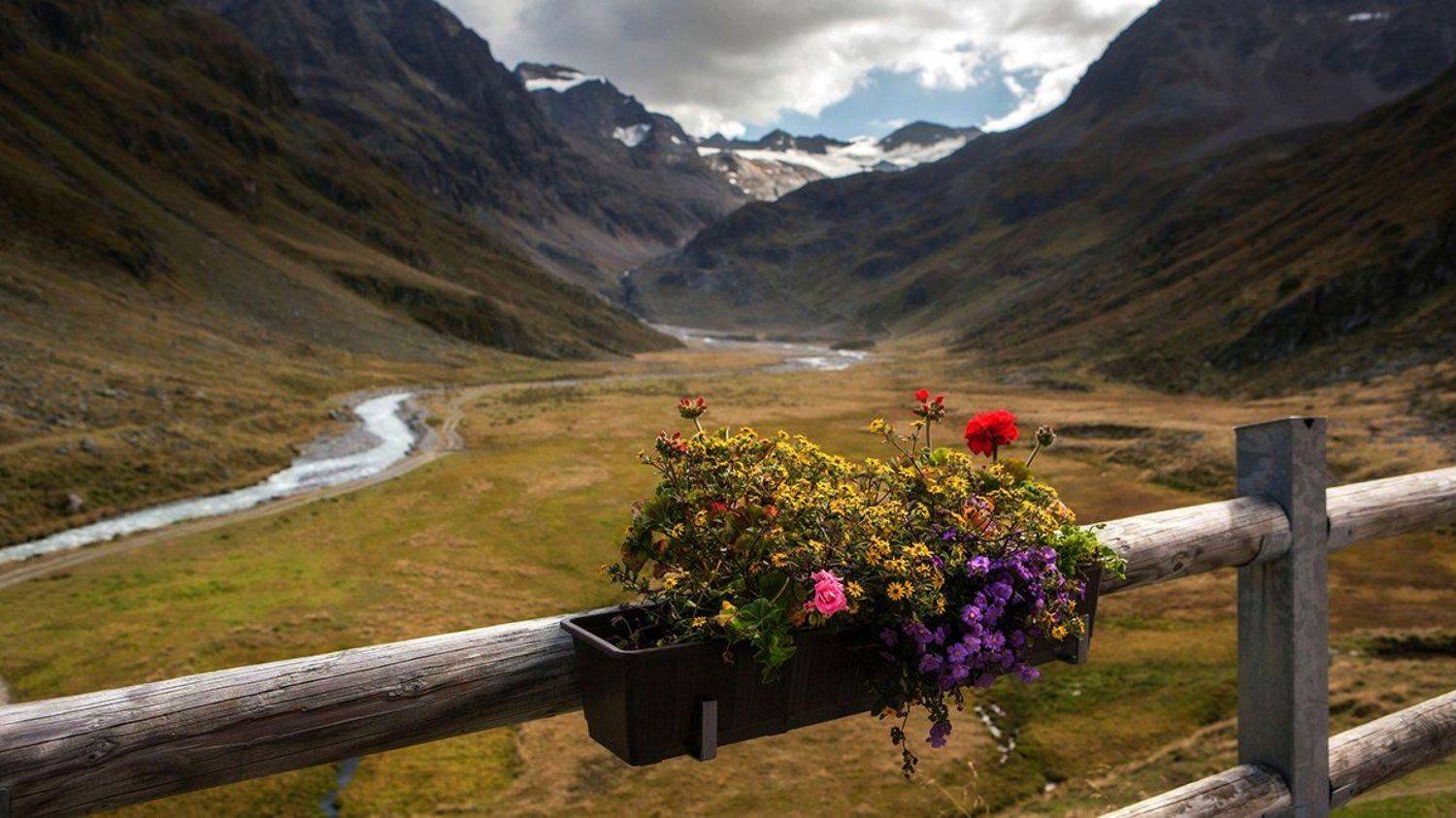 , Света  Черникова