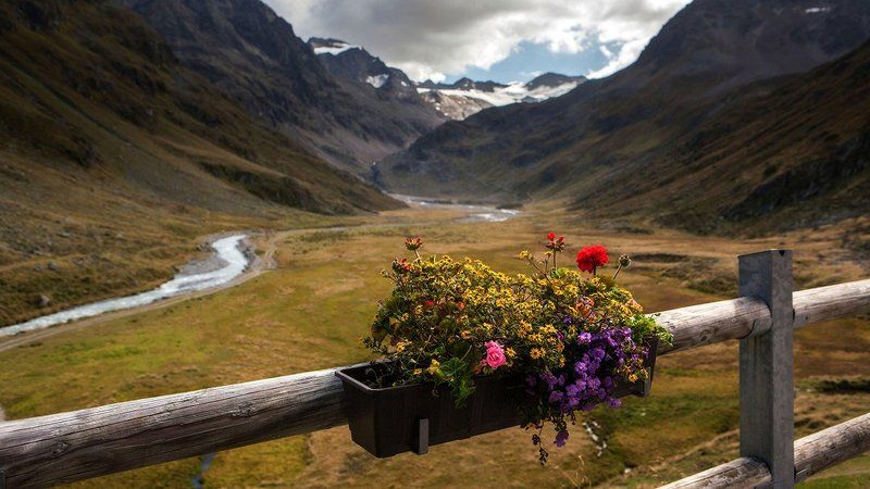 Для вас. фото превью