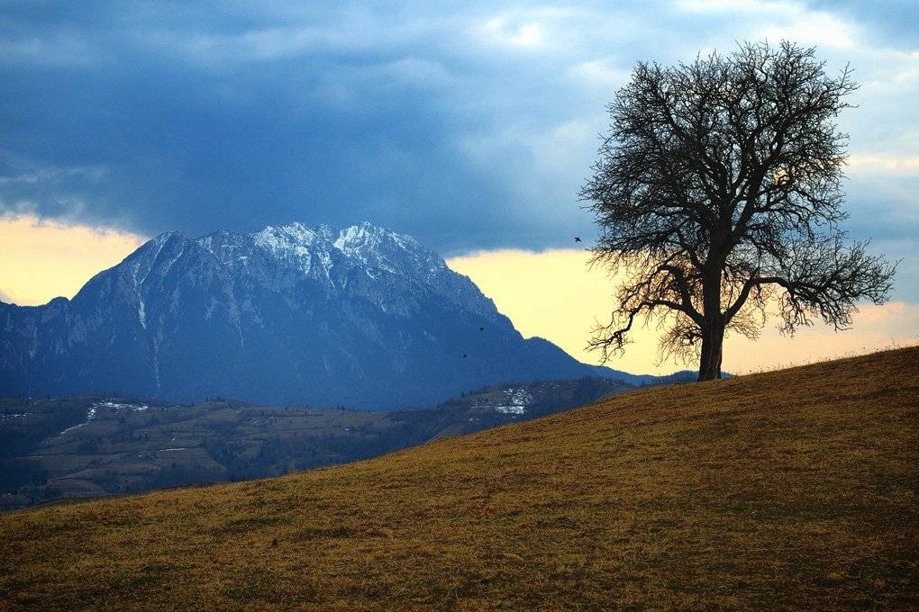 , Stefan Chirobocea