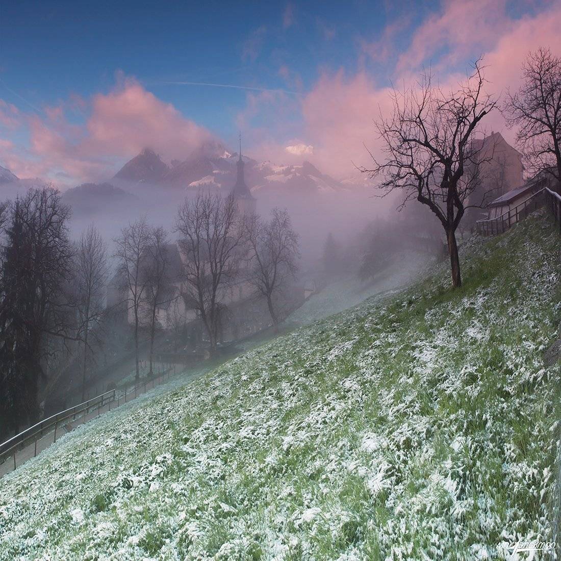 swiss, Матвеев Николай