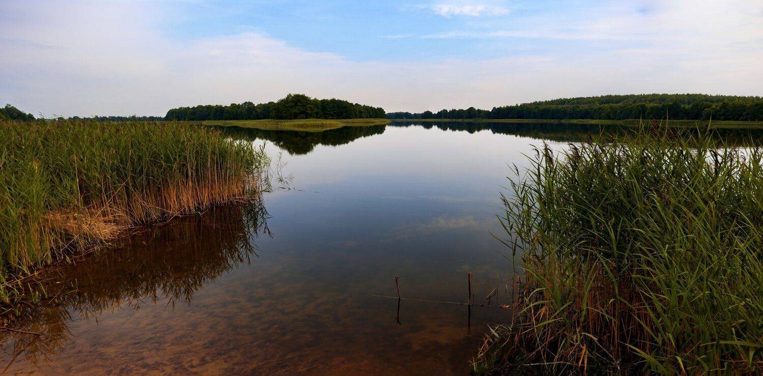 пейзаж, лето, беларусь, природа, Sixten ( Сергей )