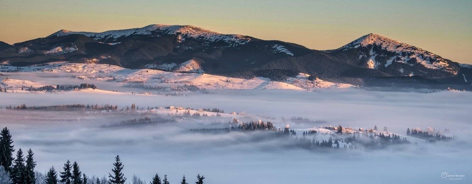 , Леонид Морозов