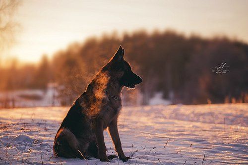Закат