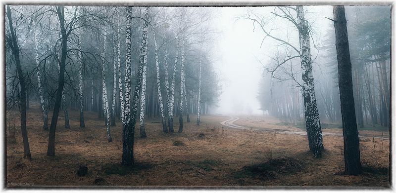 Весна таинственных туманов... фото превью