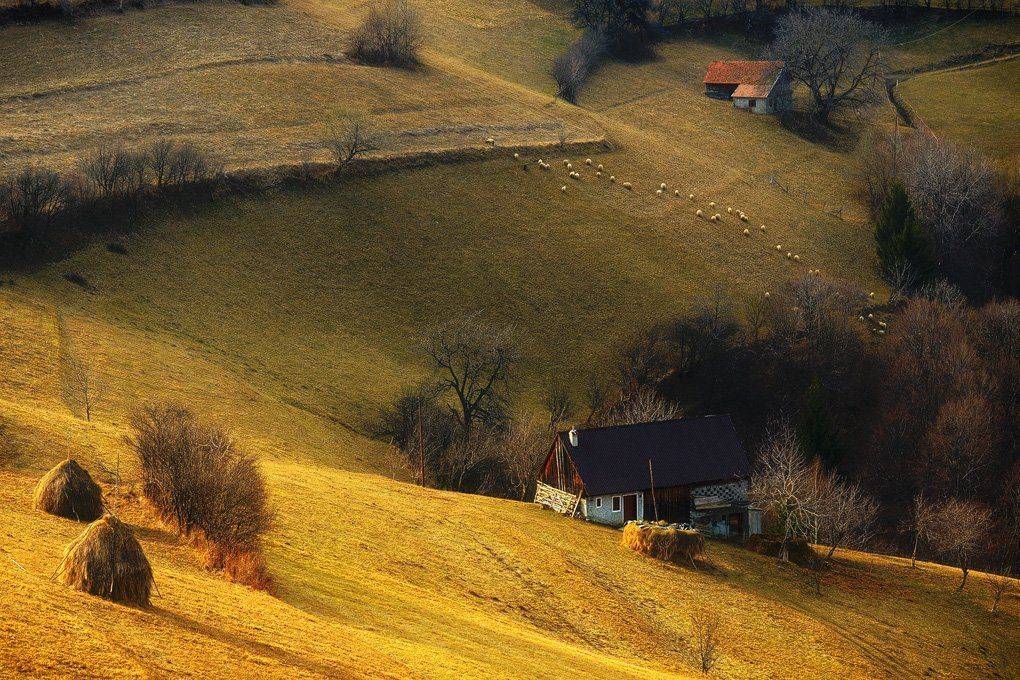, Stefan Chirobocea