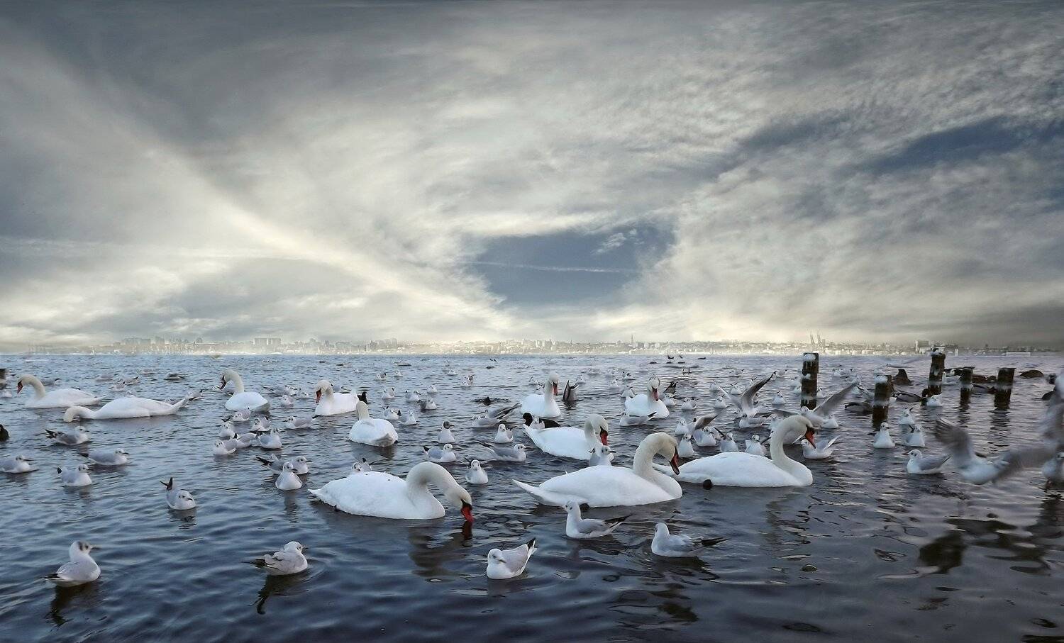 одесса, Сергей Кошелев