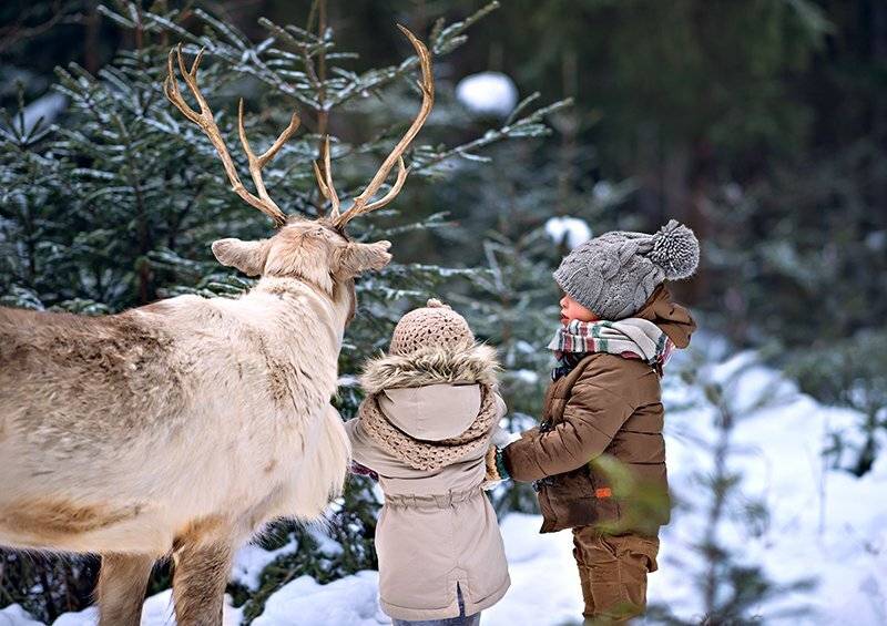 зимняя прогулка, зимняя сказка, в зимнем лесу, семейнаяя фотосессия, зимняя семейная фотосесиия, детский фотограф, детский и семейный фотограф в минске, семейный фотограф, Татьяна