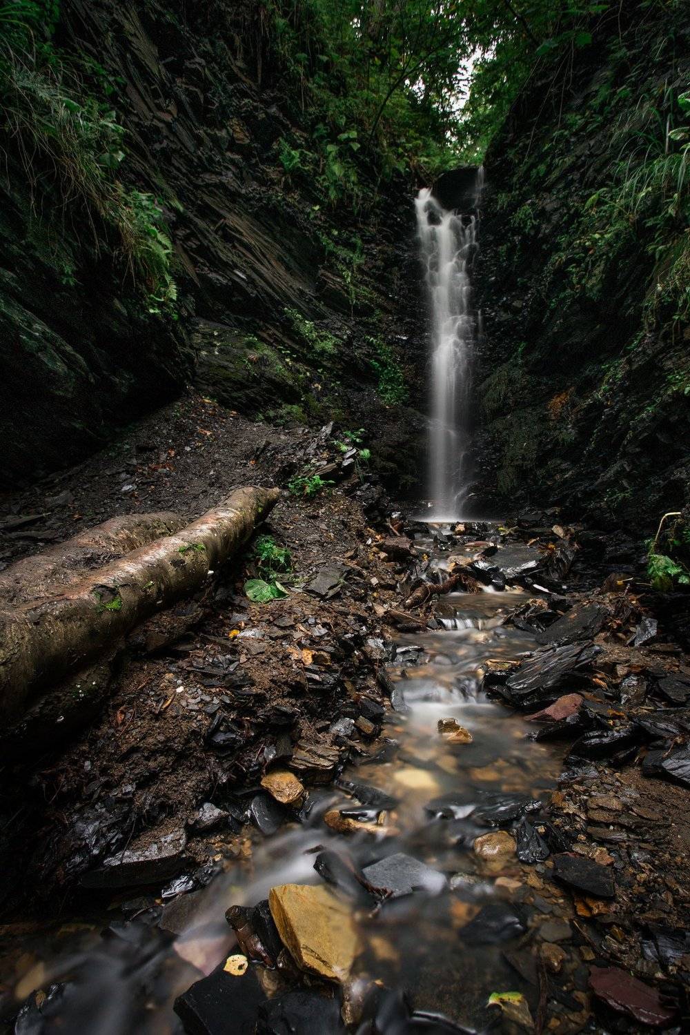 водопад, природа, лес, выдержка, вода, приморье, россия, longexposure, forest, waterfall, water, tree, Alexey
