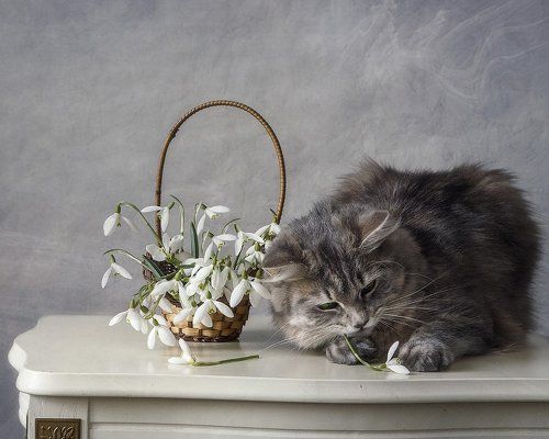 История одного  ограбления