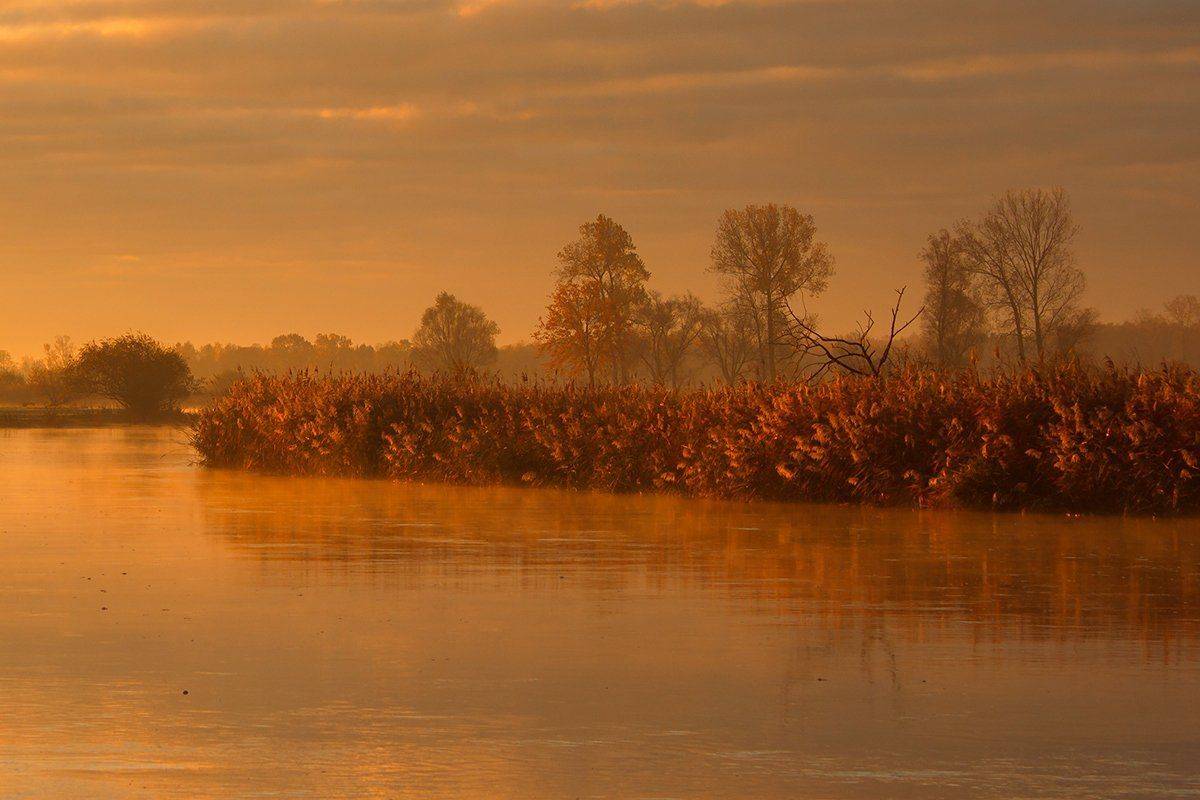 , Pawel Plucinski