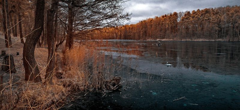 На первом льду. Инфракрасная фотография. фото превью