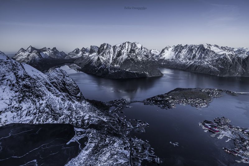 reine фото превью