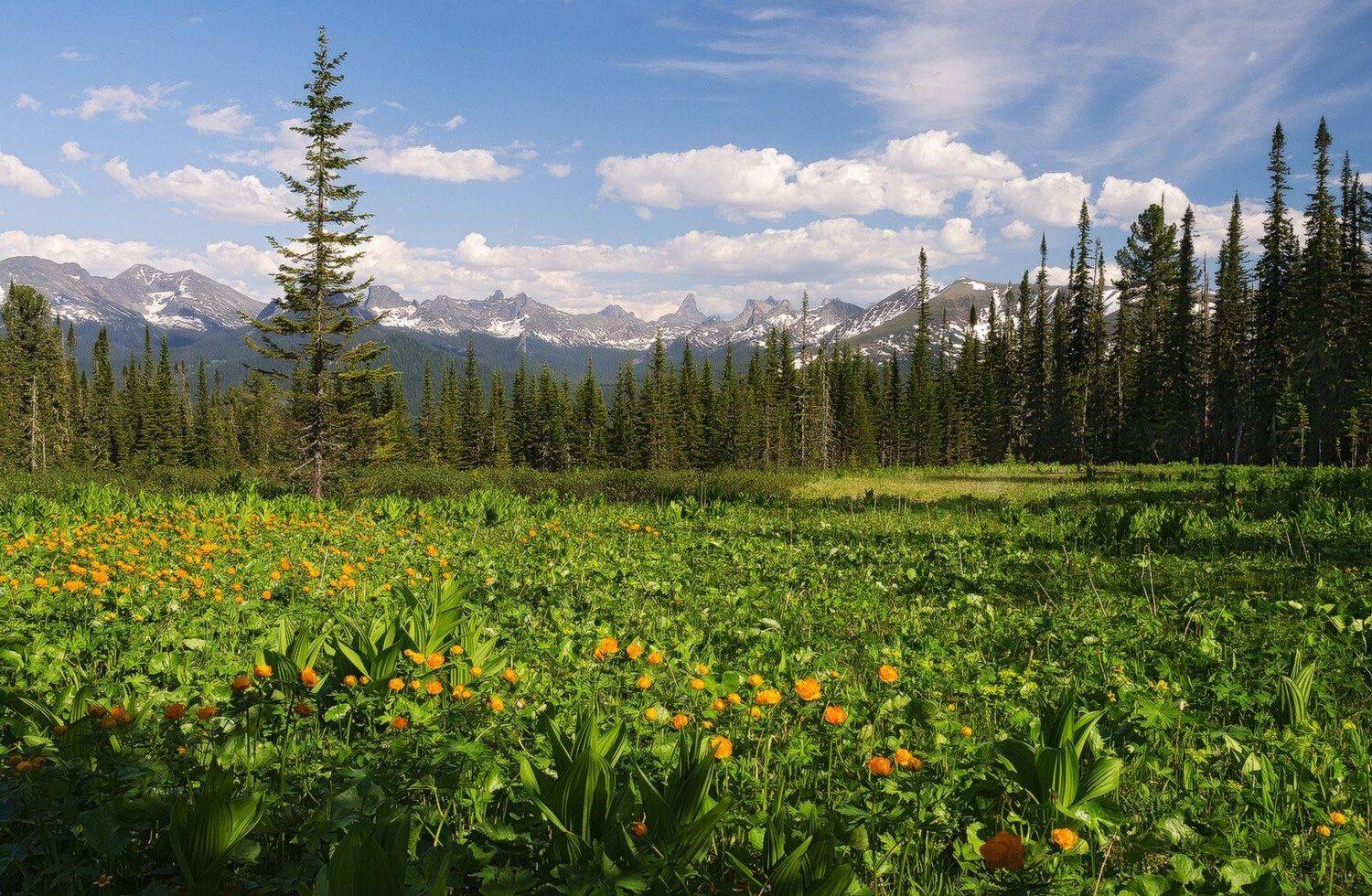 , Лещёнок Александр