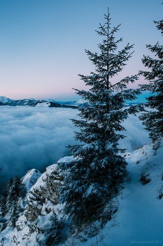 Тропинка в облака