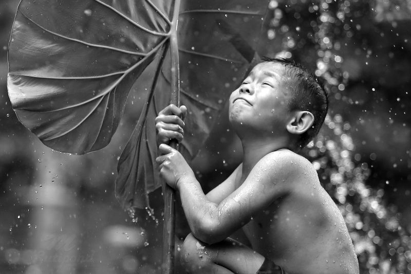 Refreshing,fresh,boy,child,asia,thai,people,portrait, Refreshing фото превью