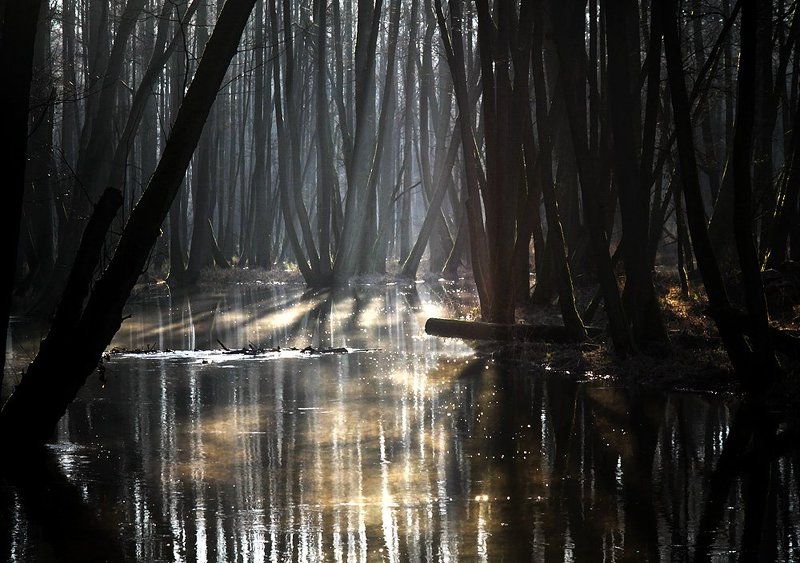 ... фото превью