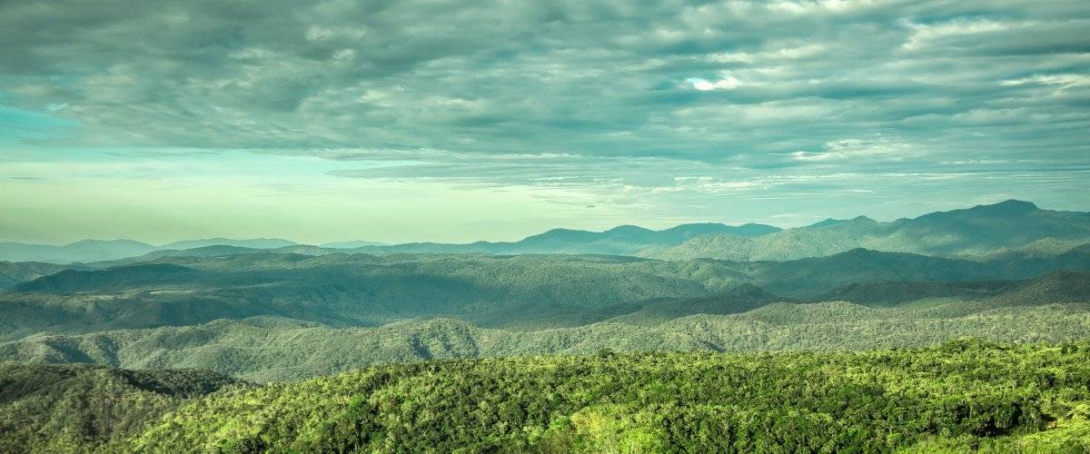 , Сергей Логвенков