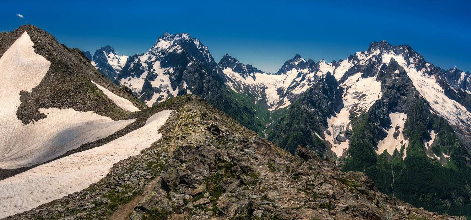 , Игорь Мелекесцев