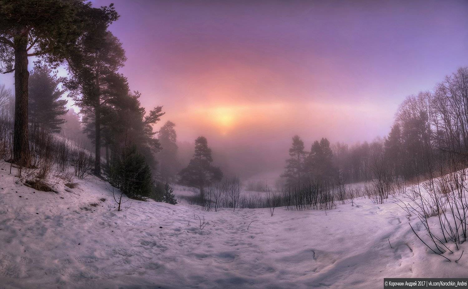 , Андрей Корочкин