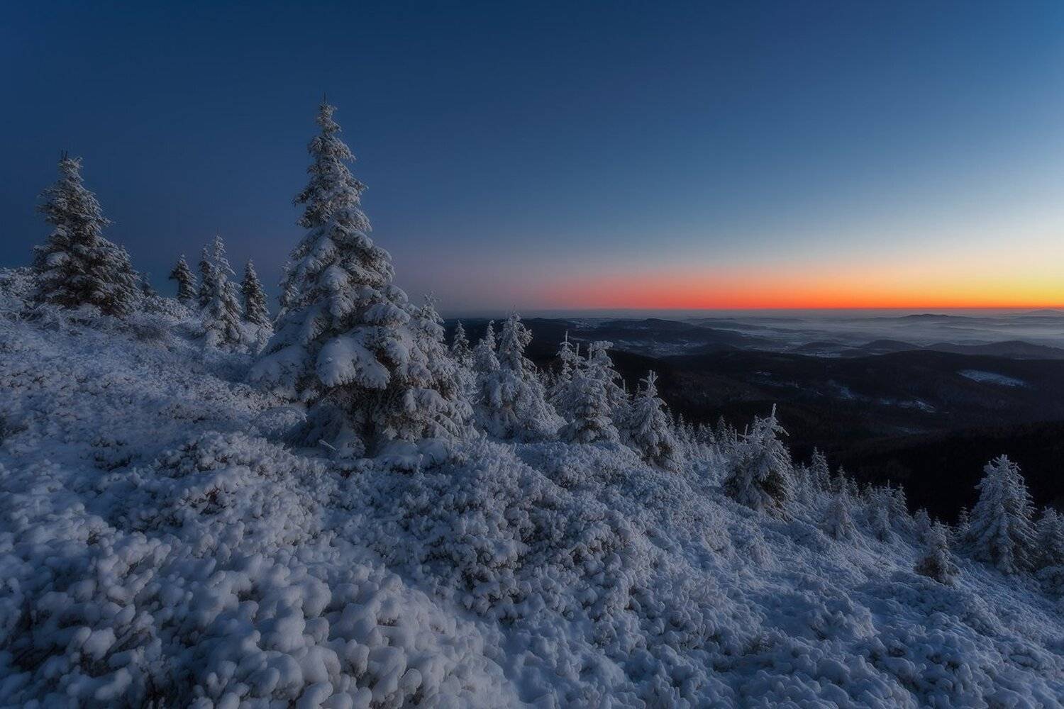 landscape,canon,winter,night, Iza,Darek