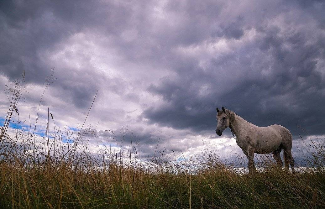 , Вячеслав Мищенко