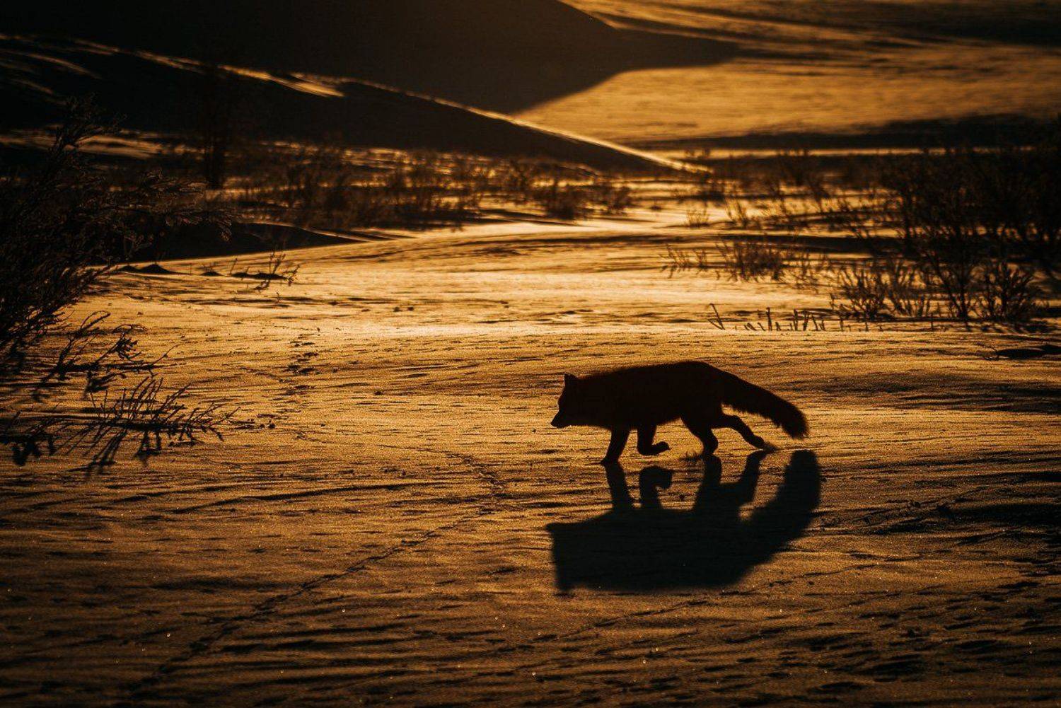 чукотка, Иван Кислов