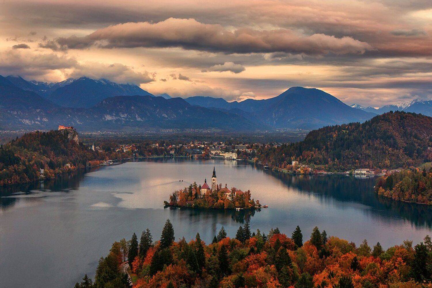 , Игорь Дубровский