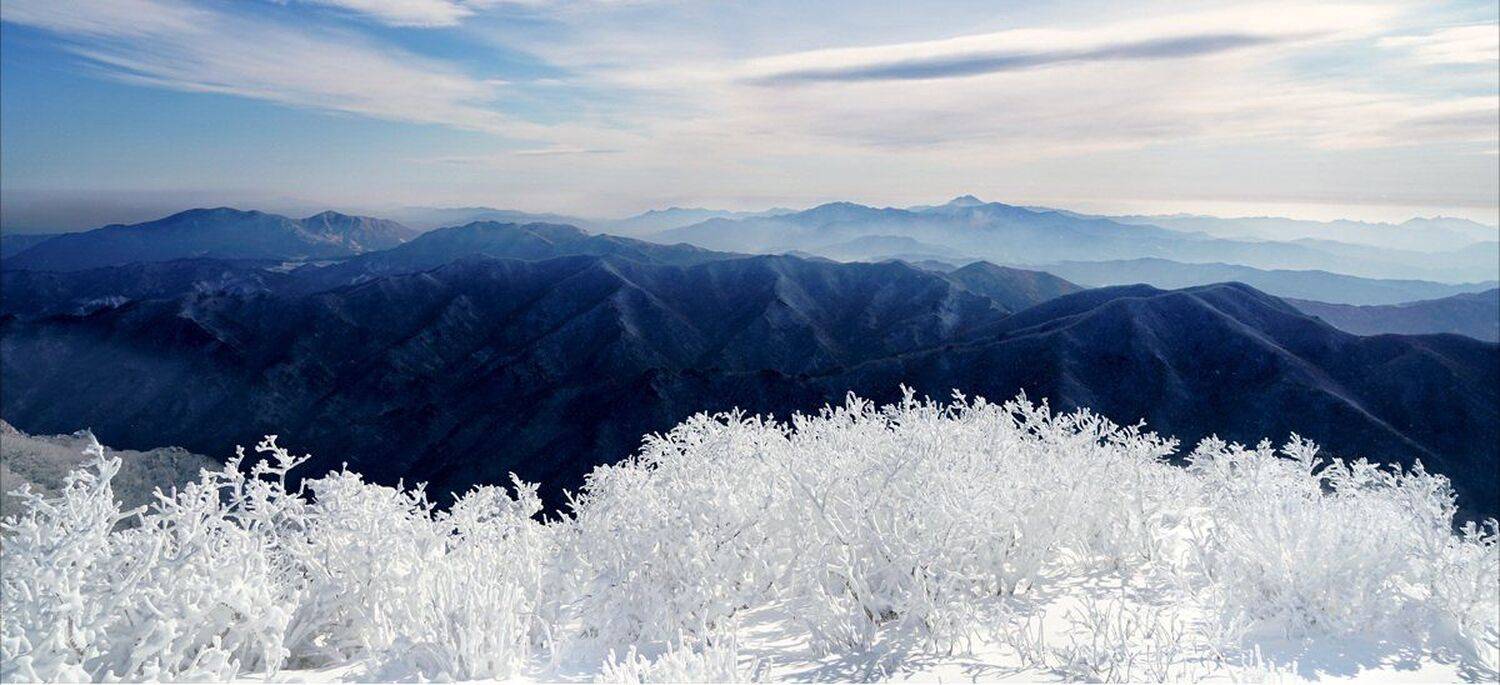 Snow, CHOI  JEONG KYU