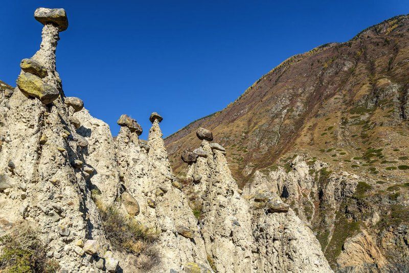 долиначулышмана, алтай, камни, грибы, горы, stones, mushrooms, mountains, altai Каменные грибы фото превью