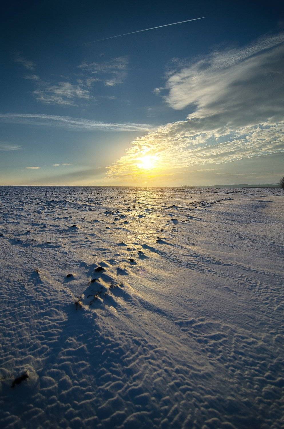 , Чурляев Максим