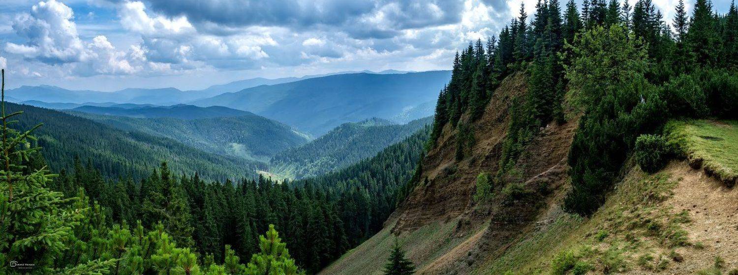 , Леонид Морозов